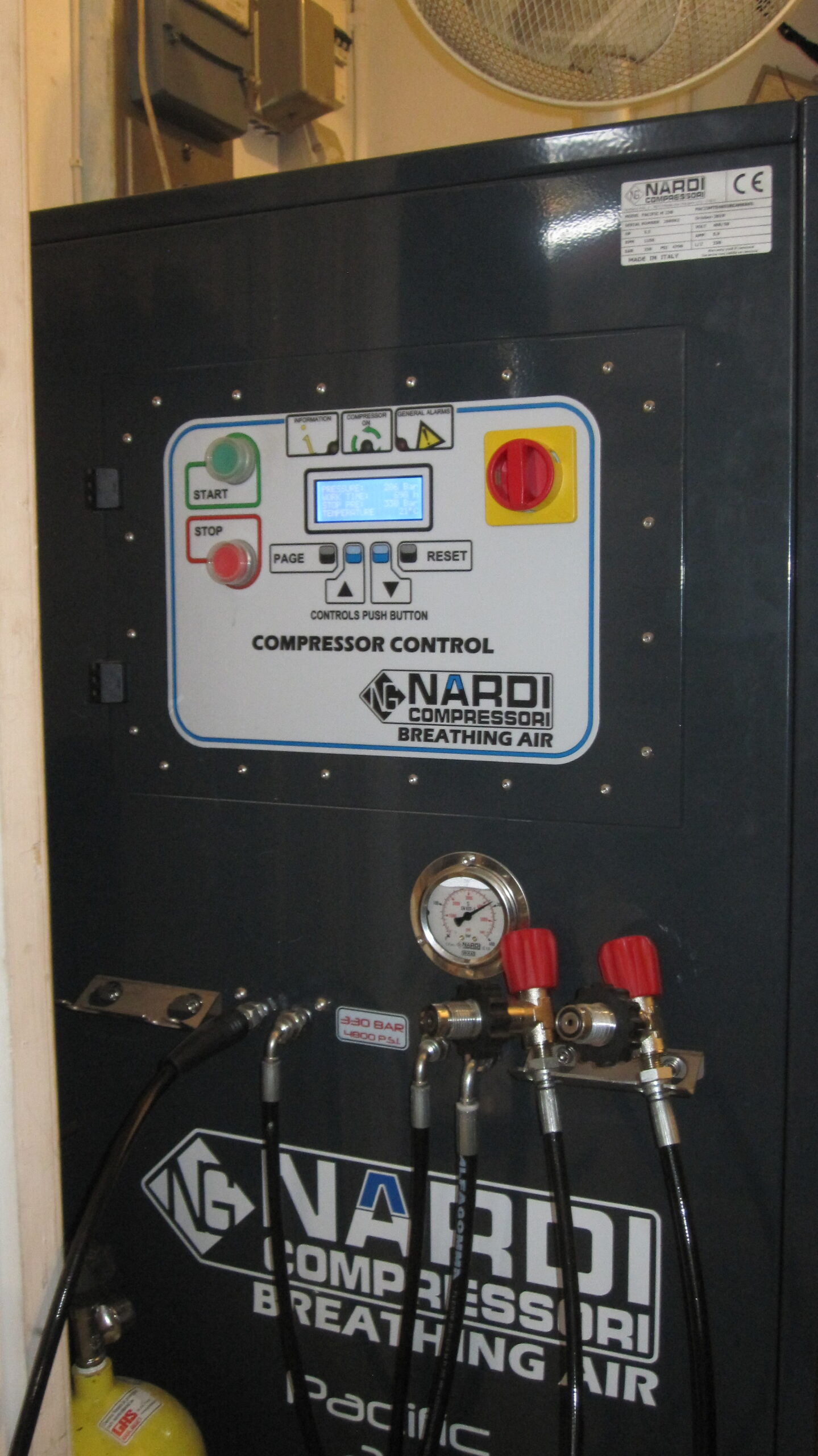 Nardi