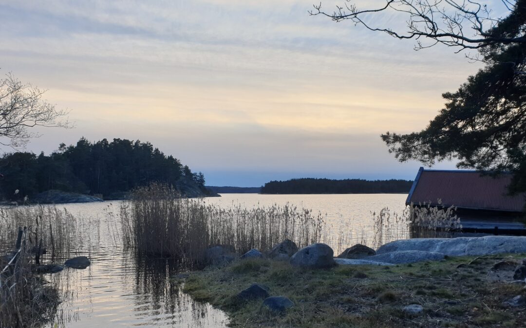 Utflykt Dyviksvraket 17e Augusti