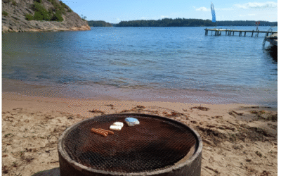 Vinterhamnen söndag 24:e Aug