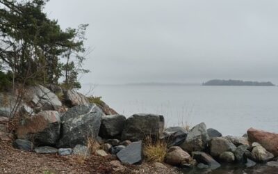 Utflykt Byggaren, Yxlan 25/4